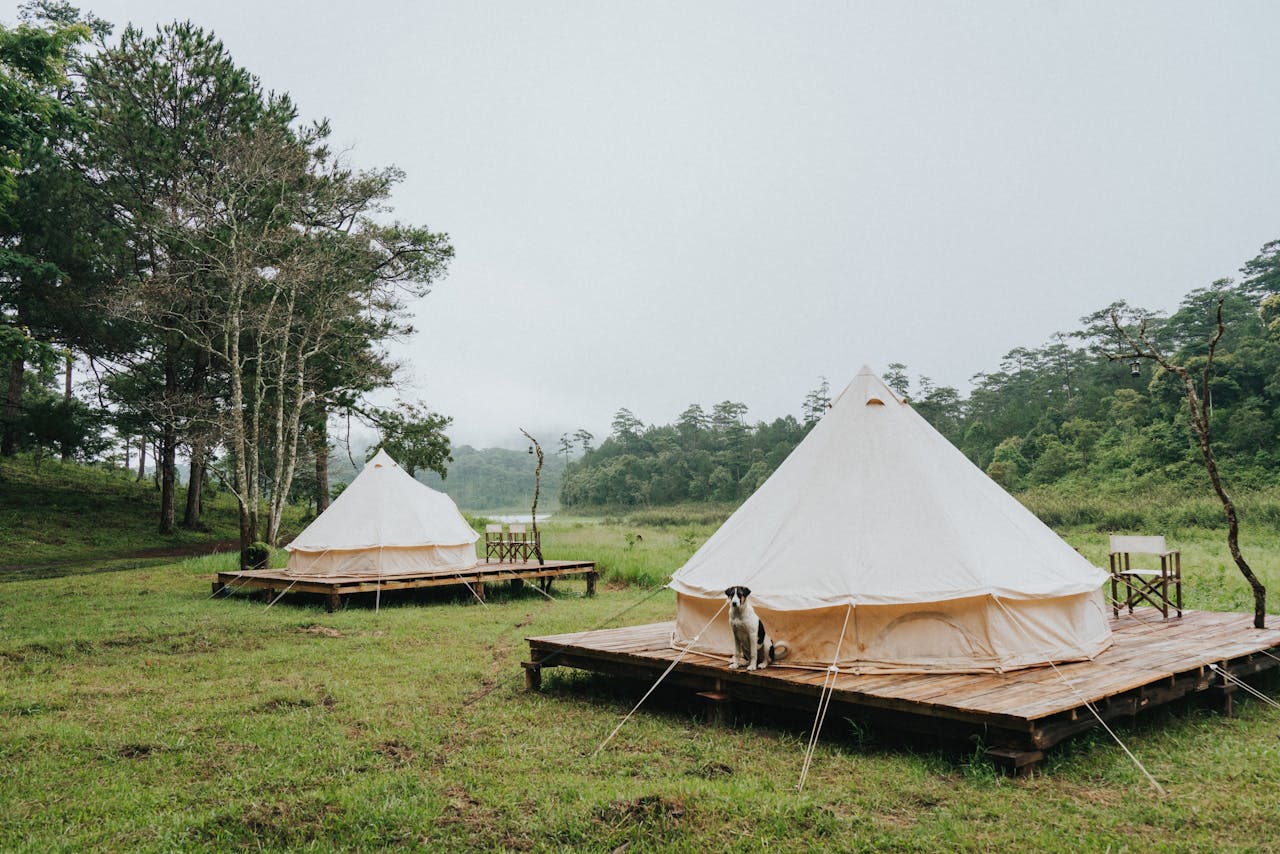Peaceful camping scene with bell tents in Đà Lạts lush forest landscape, ideal for nature retreats.